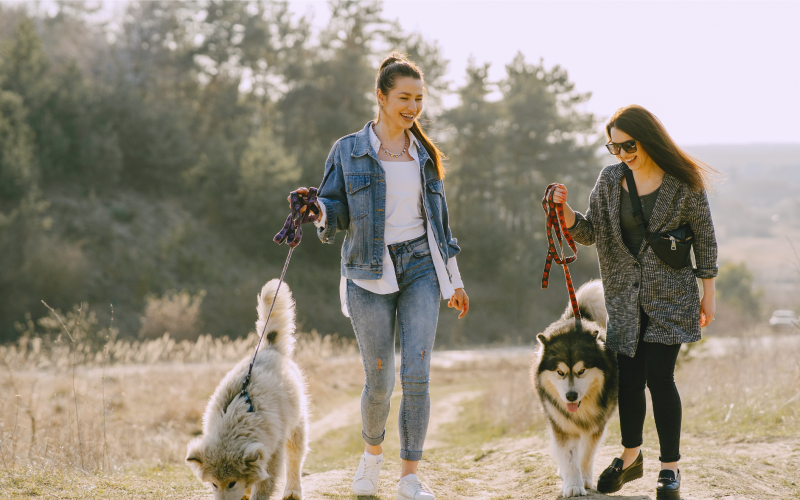 women walking dogs