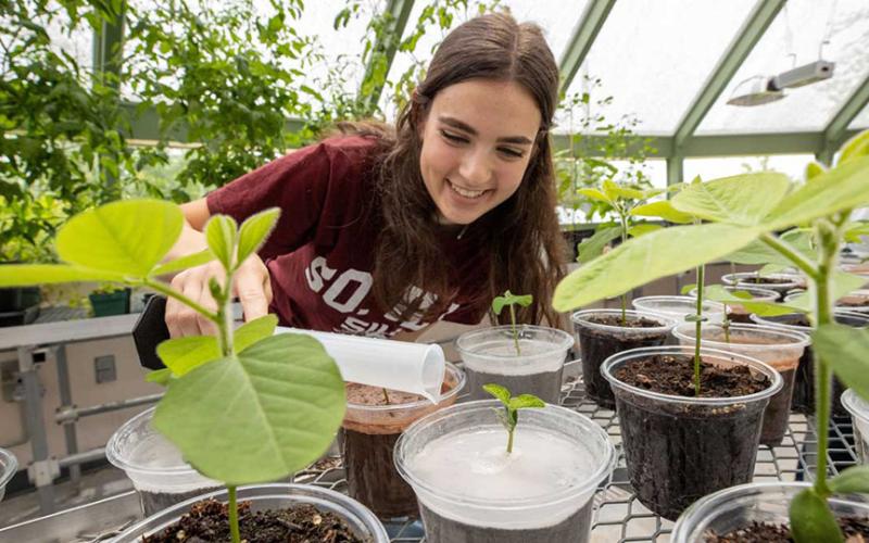 SIUC student botanist