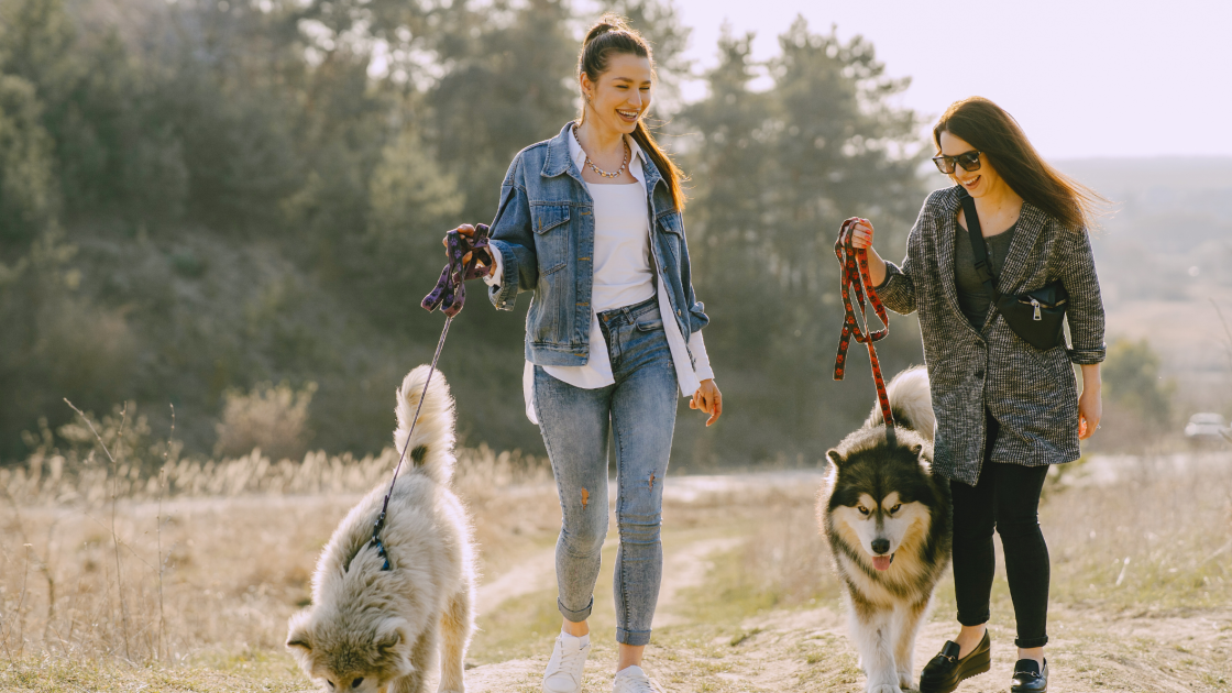 women walking dogs