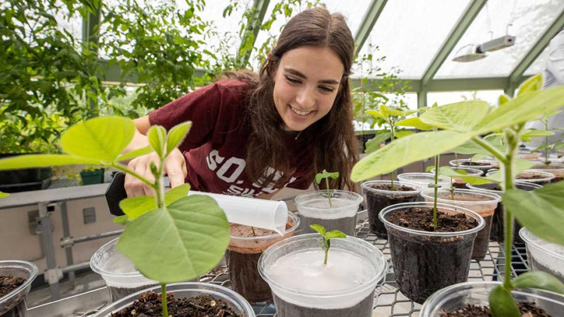 SIUC student botanist